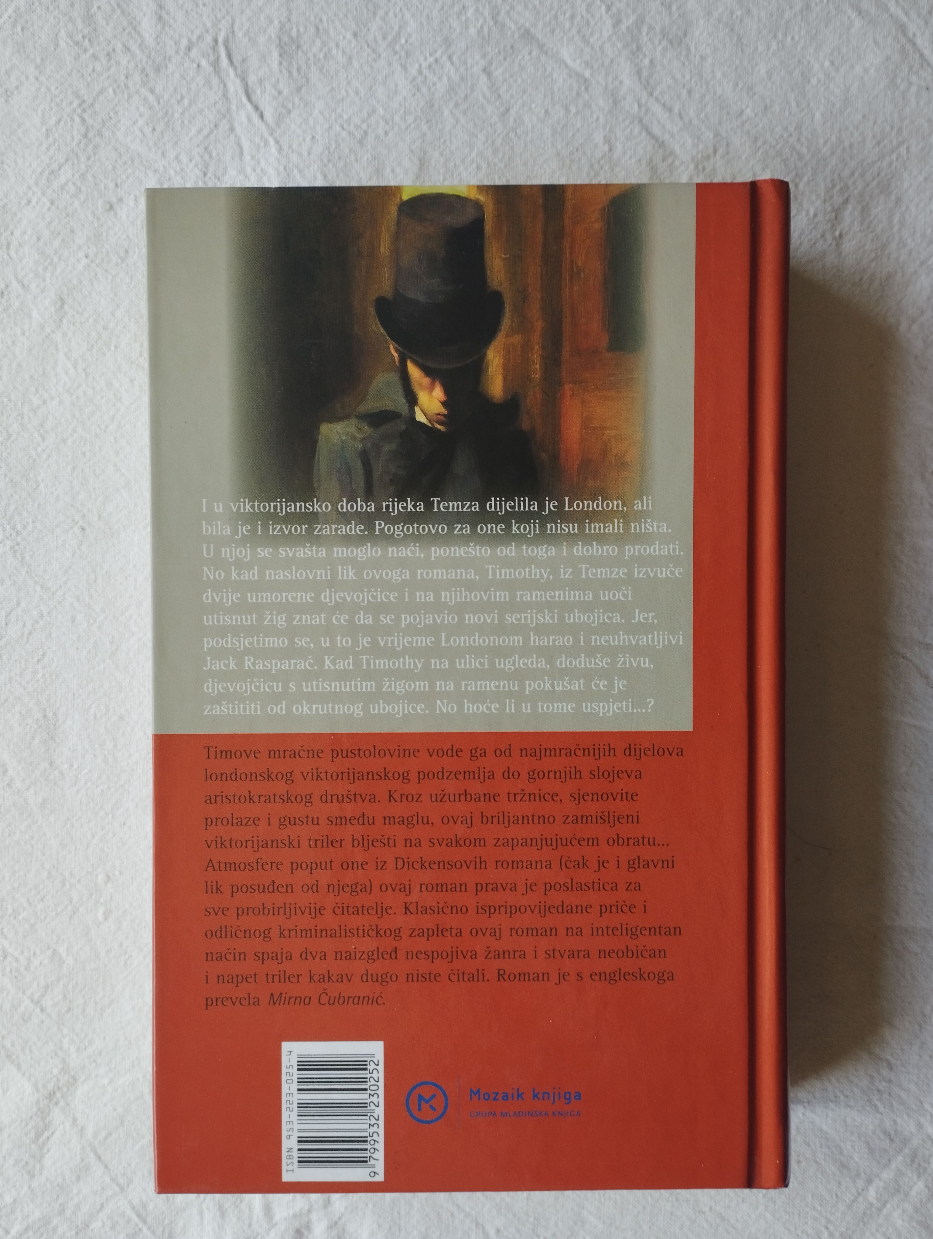 louis bayard - gospodin timothy - slika 3