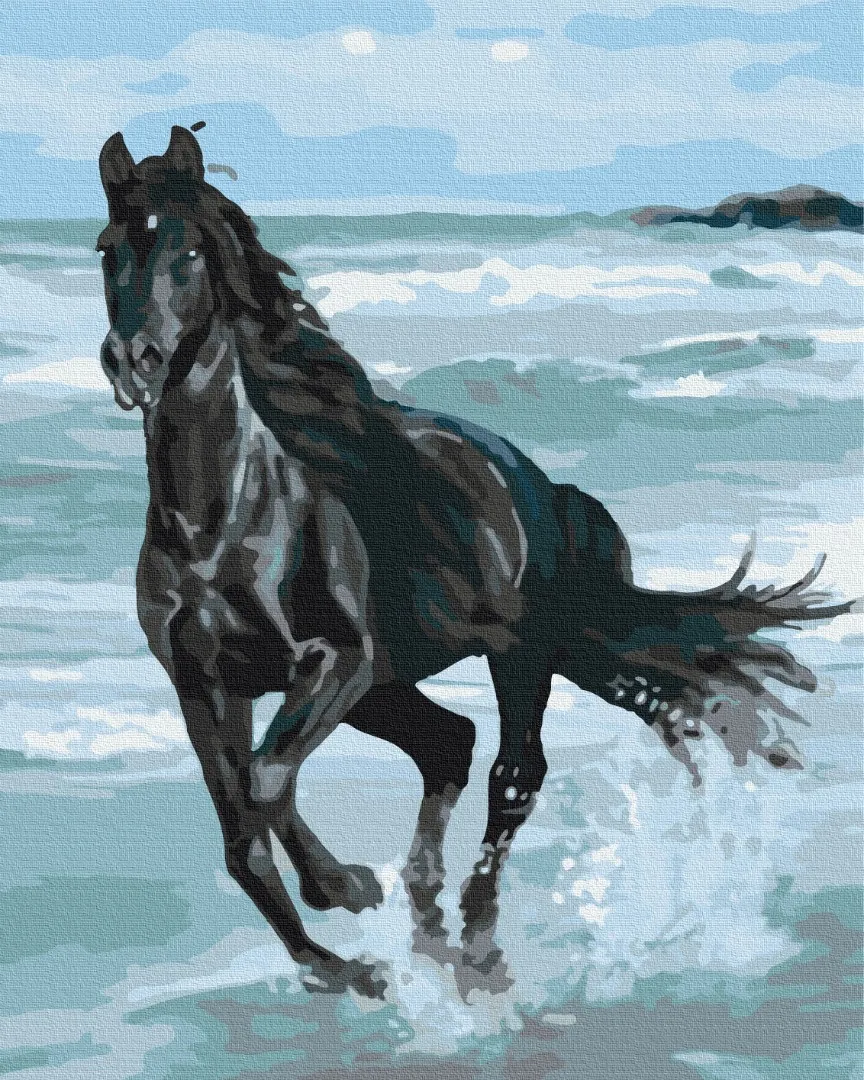 slikanje po brojevima 40×50 Black horse - Vukovar