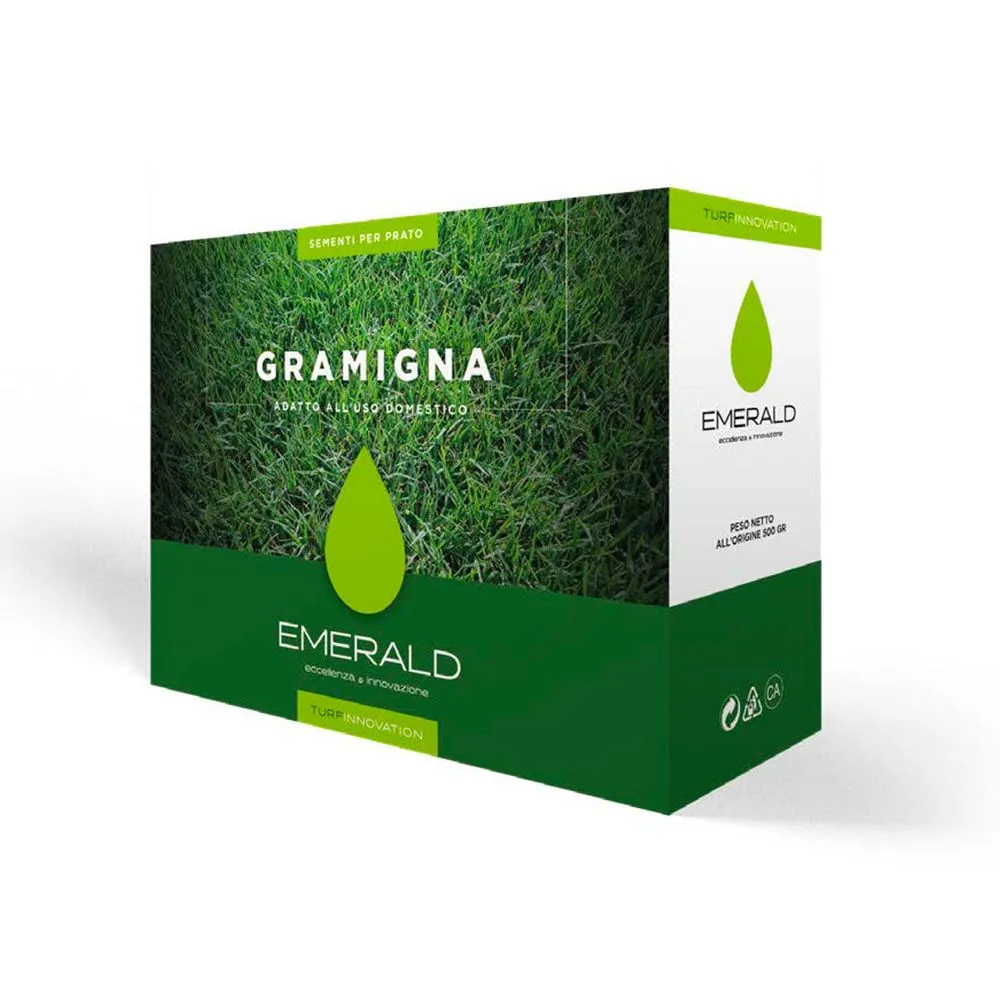Emerald Gramigna - Bužinija, Novigrad