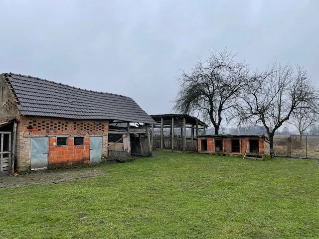 žlebina, kuća 88 m2 sa okućnicom i oranicom - slika 9