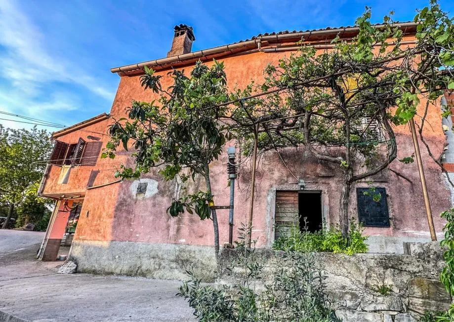 istra-malo selo s nagrađivanim vinom i maslinovim uljem (prodaja) - slika 3