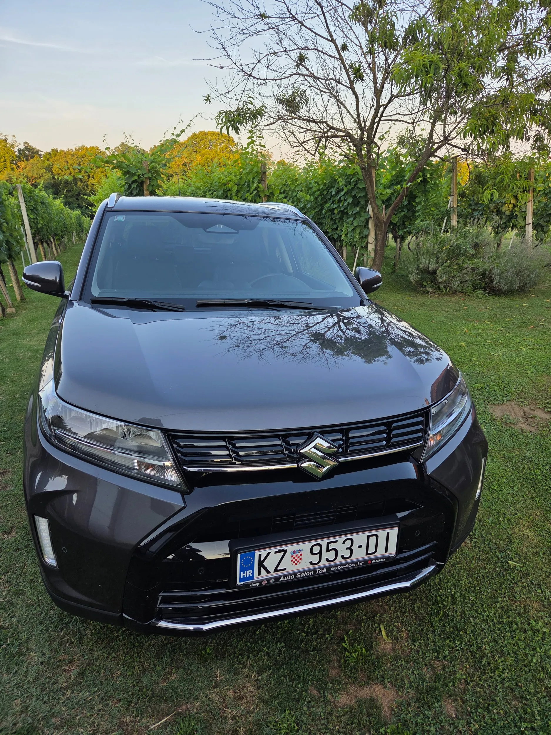 suzuki vitara glx elegance - slika 2