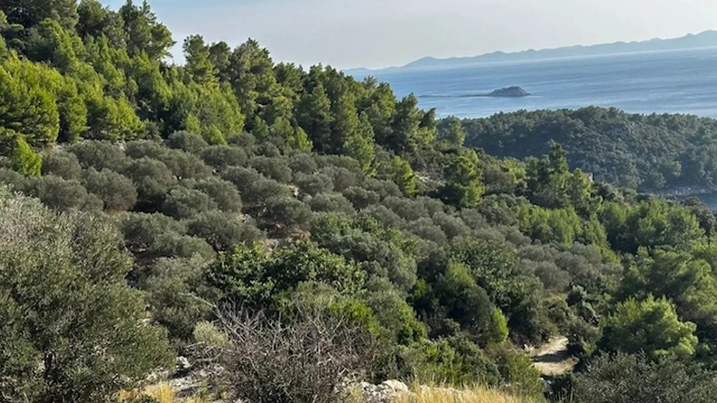 poljoprivredno zemljište na prodaju - blato - slika 21