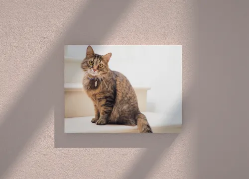 slikarsko platno na okviru sa fotografijom ljubimca - slika 2