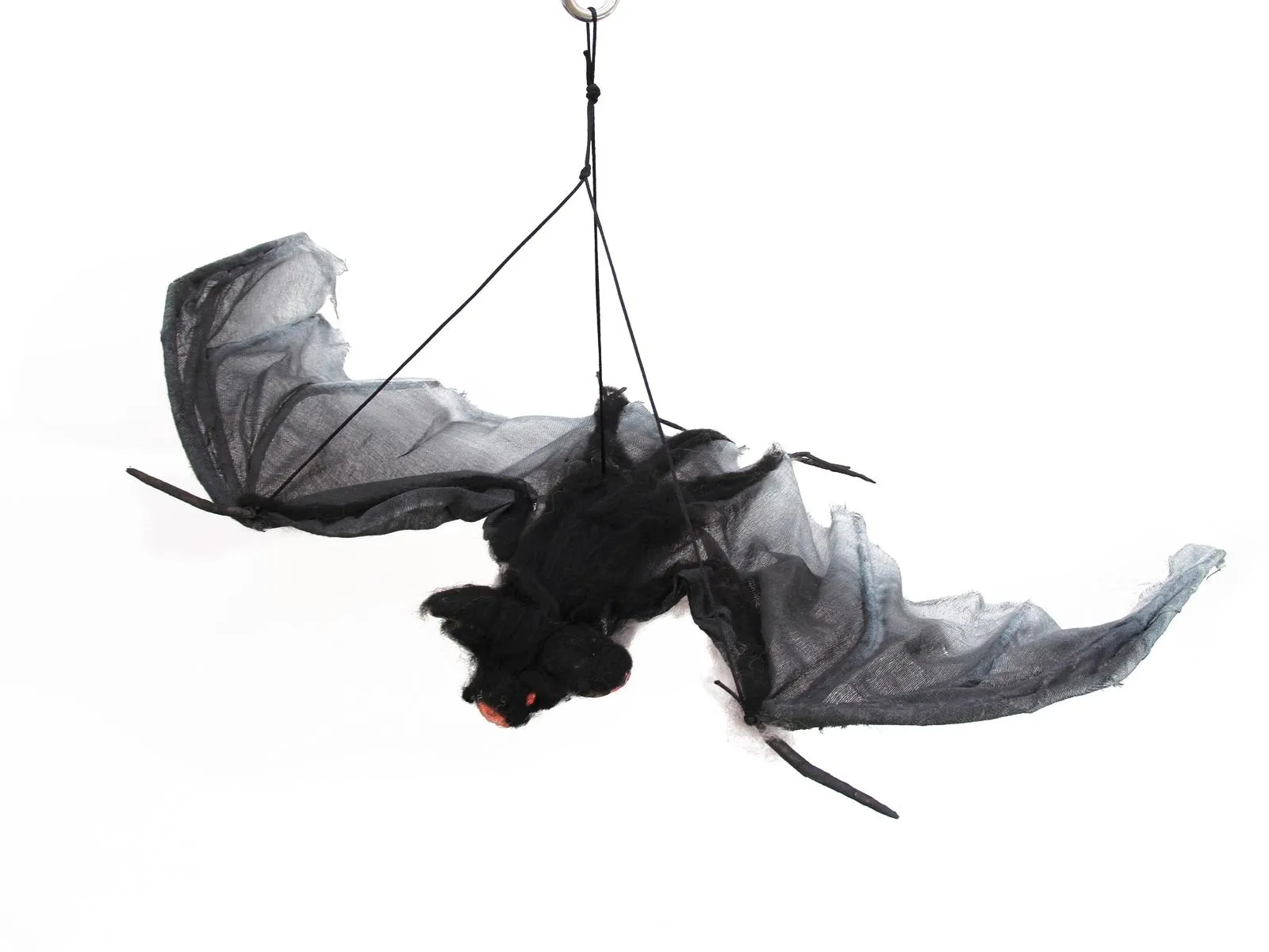 EUROPALMS Bat with ca 120 cm wing-spread - Križevci
