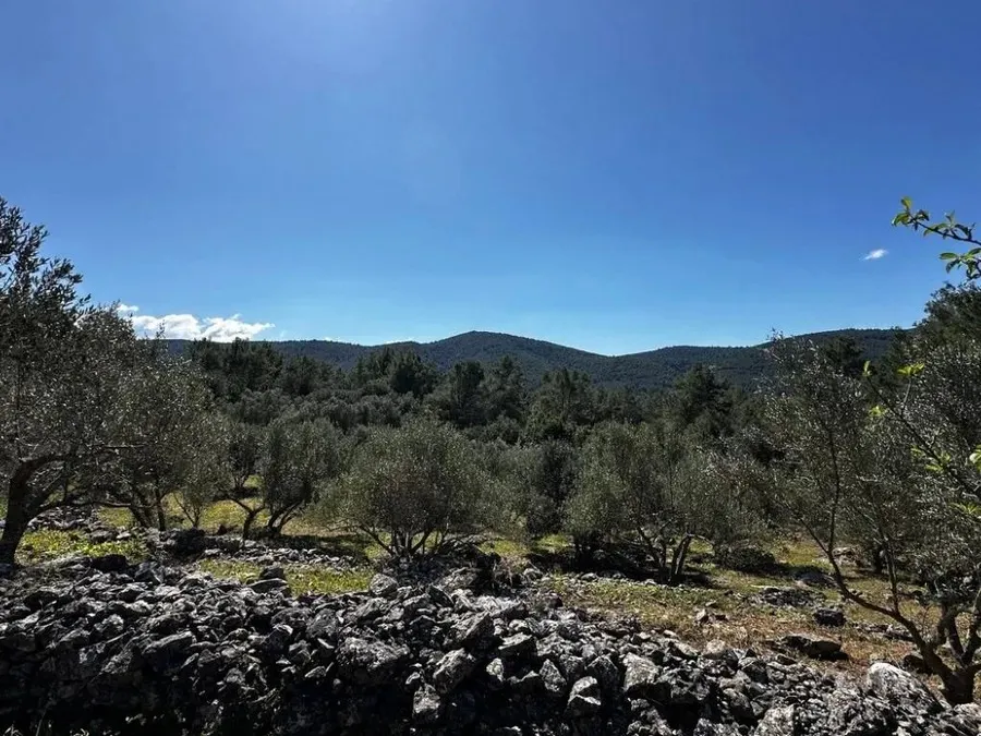 poljoprivredno zemljište na prodaju - blato - slika 5