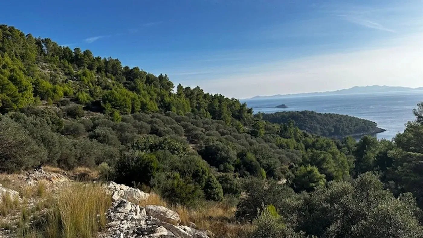 poljoprivredno zemljište na prodaju - blato - slika 12