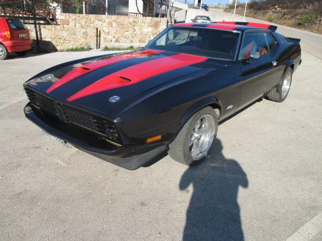mustang mach 1,429cj - slika 2
