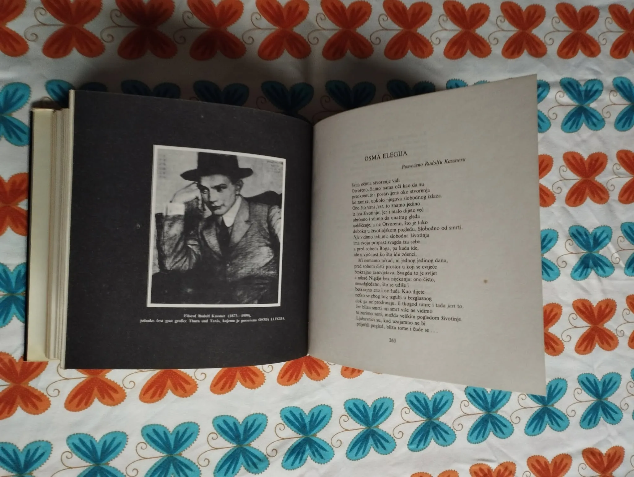 rainer maria rilke - arhajski torzo - slika 9