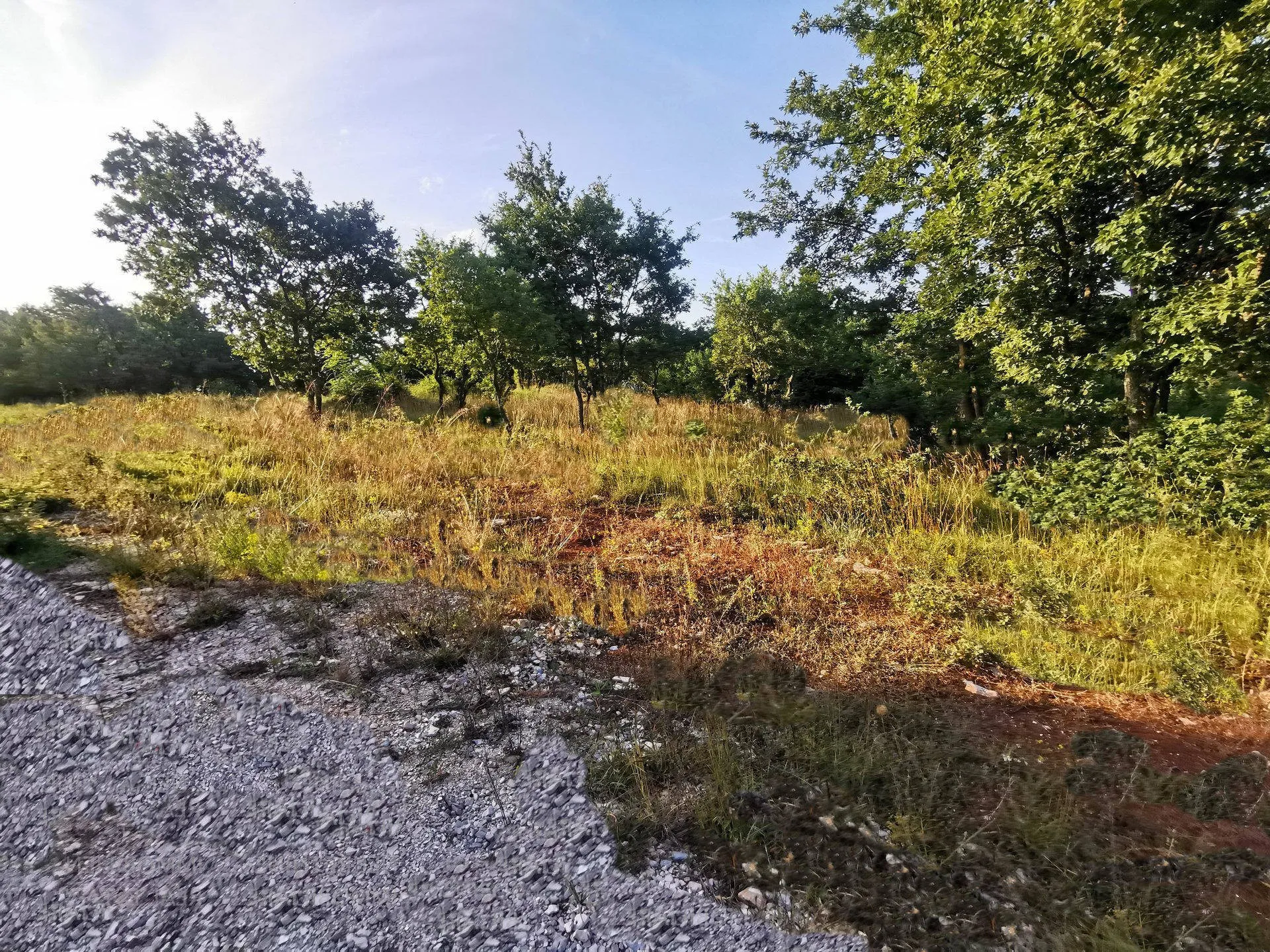istra svetvinčenat poljoprivredno zemljište 19,167 m2 - slika 4