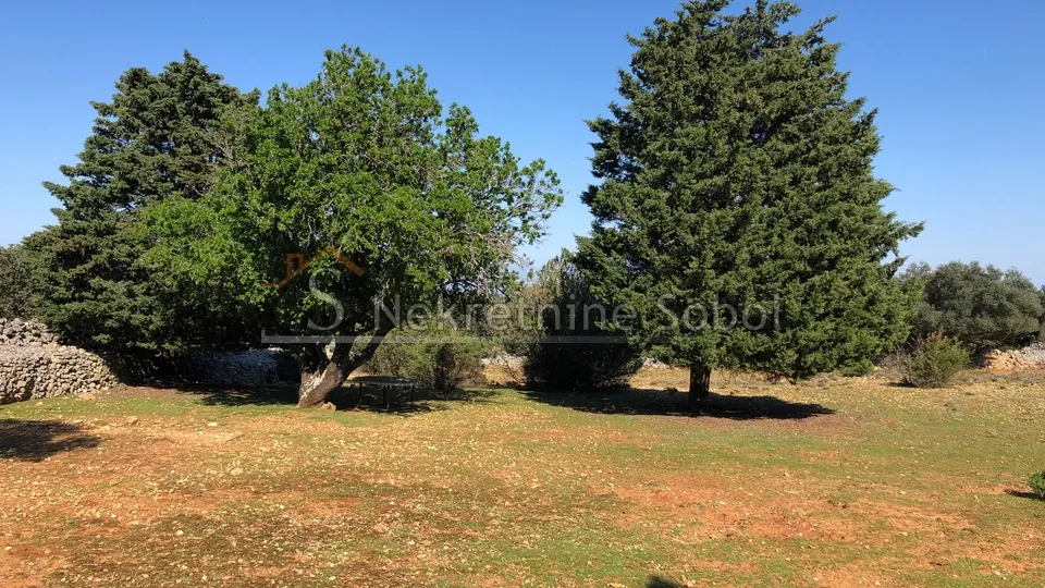 punta križa, otok cres - zemljište, 76133 m2 prodaja - slika 5