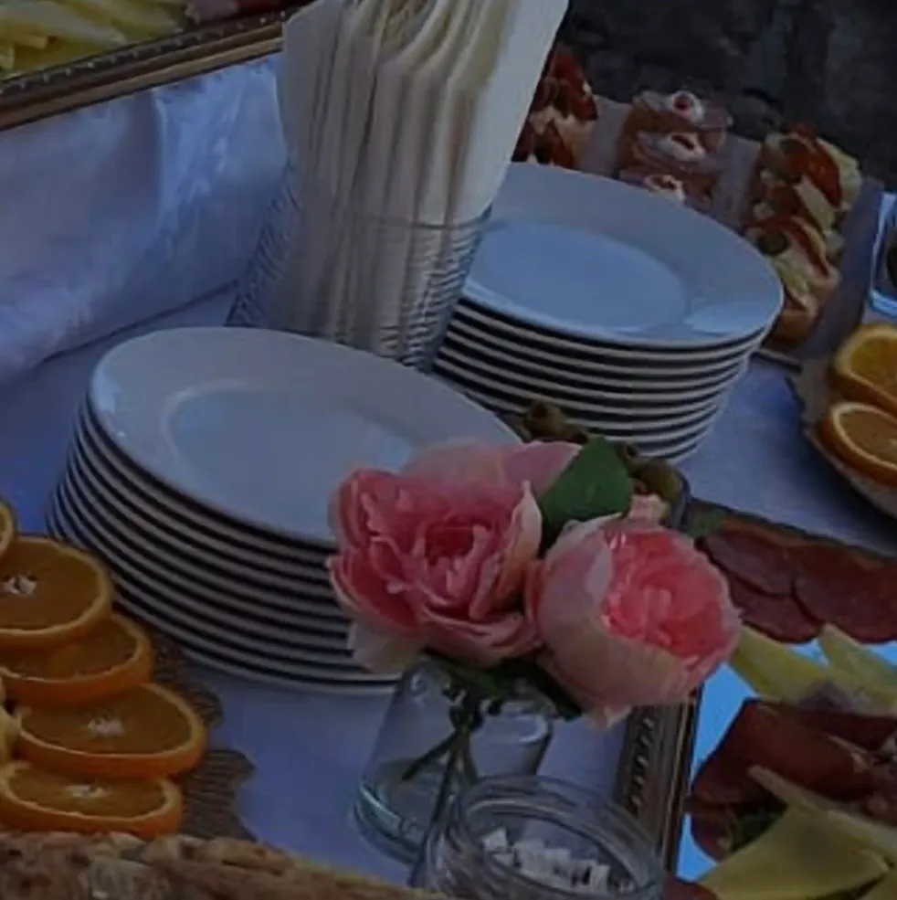 inventar za catering - slika 6