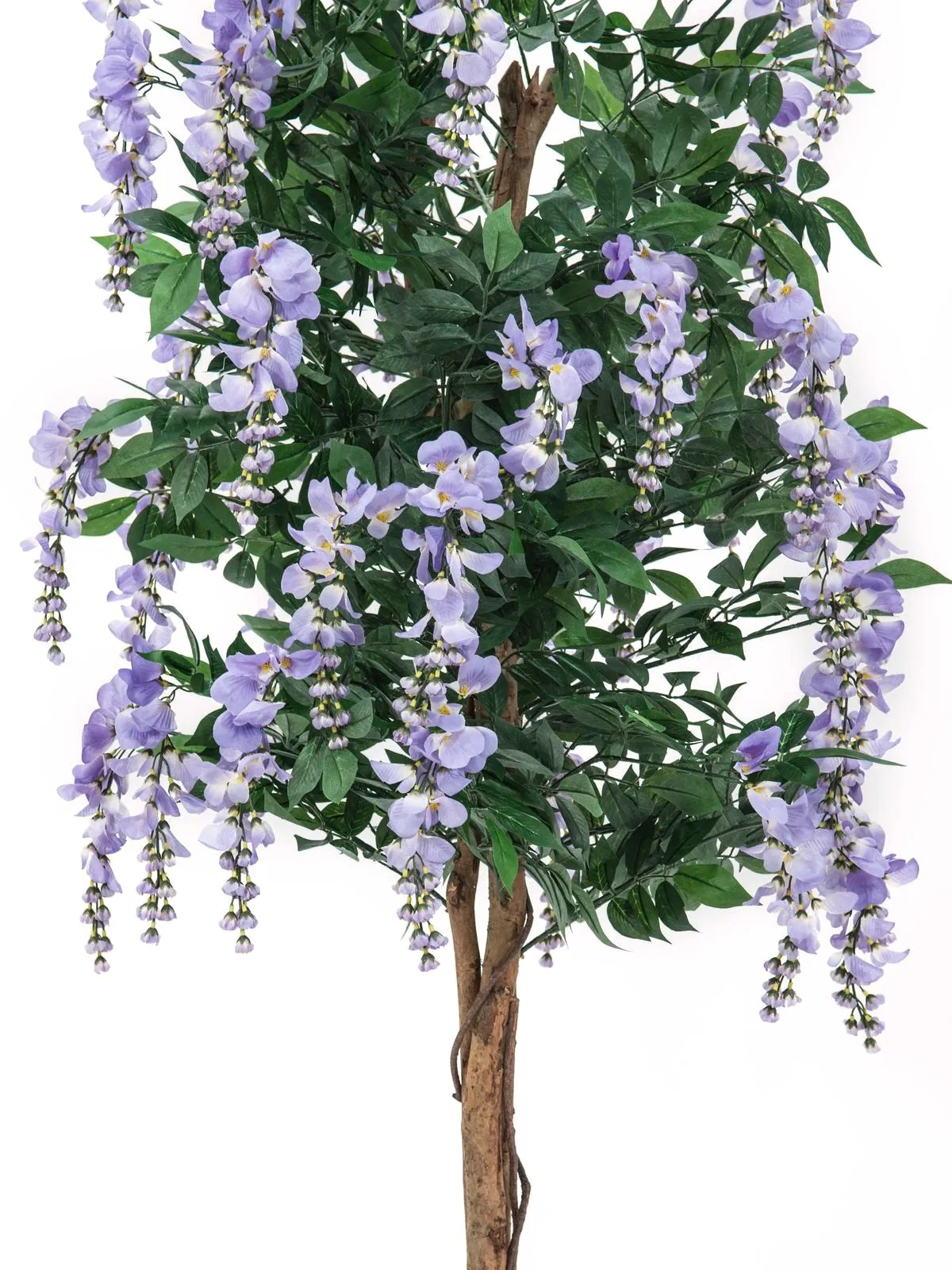 europalms wisteria, purple, 150cm - slika 2