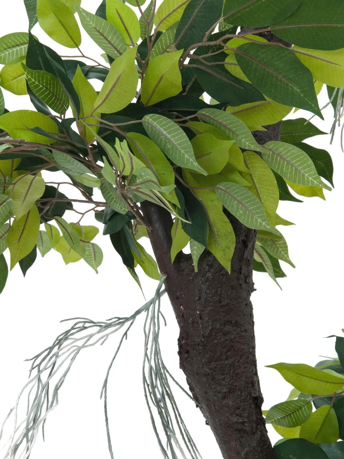 europalms ficus forest tree, 150cm - slika 3