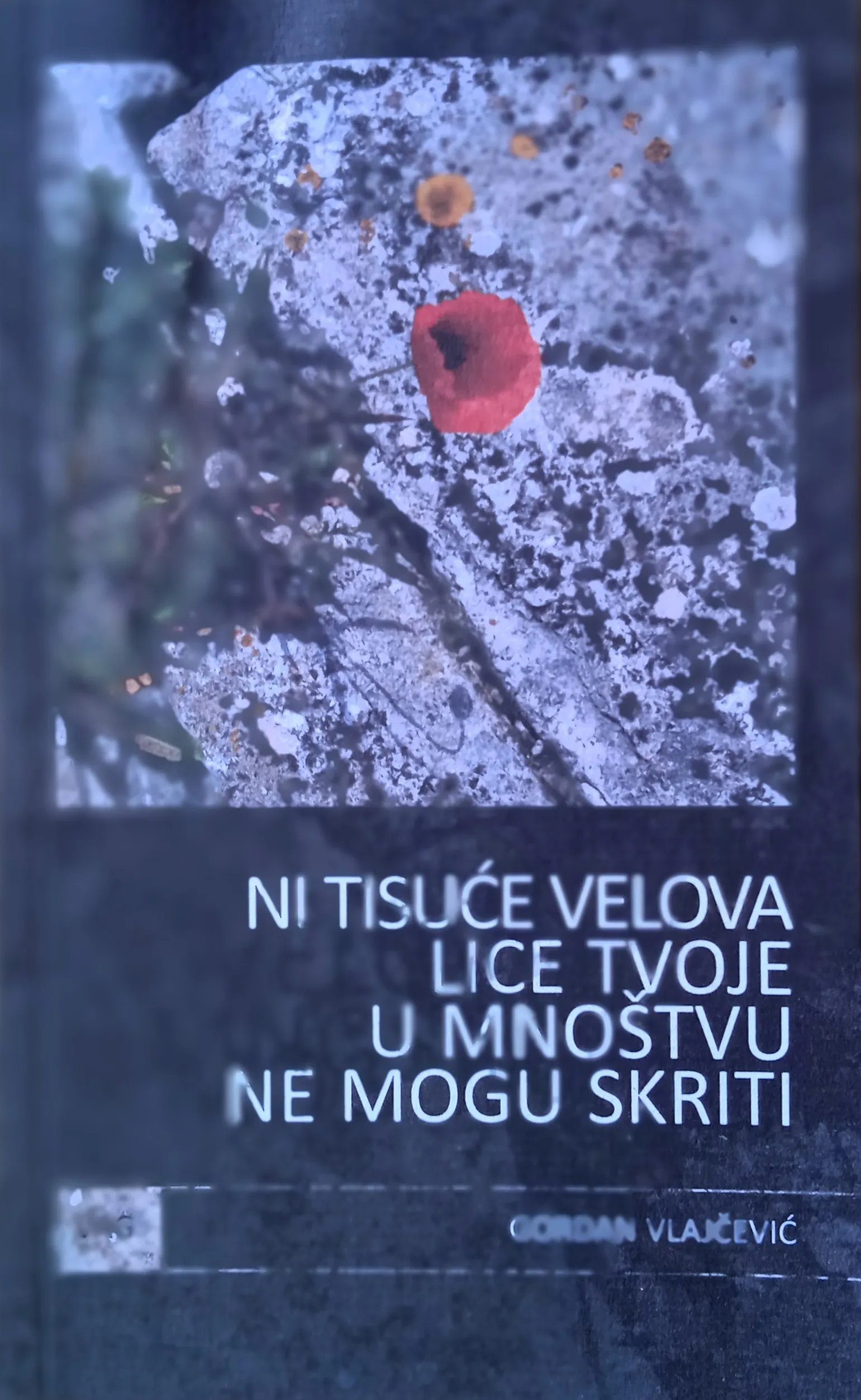 NI TISUĆE VELOVA LICE TVOJE U MNOŠTVU NE MOGU SKRITI Gordan Vlajčević - Sisak