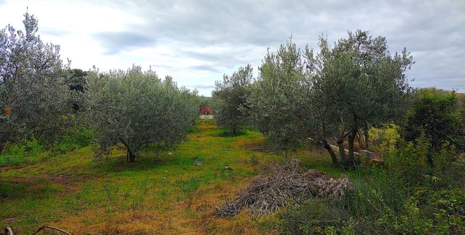 sukošan-građevinsko zemljište 1062m2 - slika 2