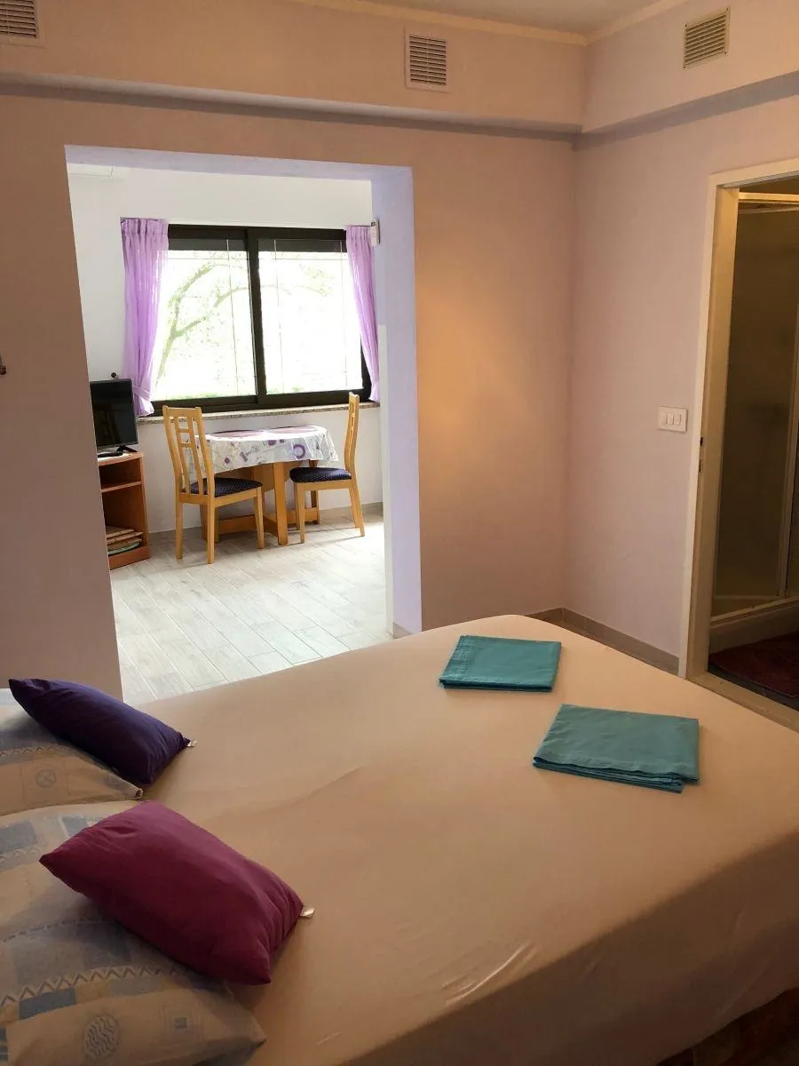 novigrad-apartmanska kuća na prodaji (prodaja) - slika 12