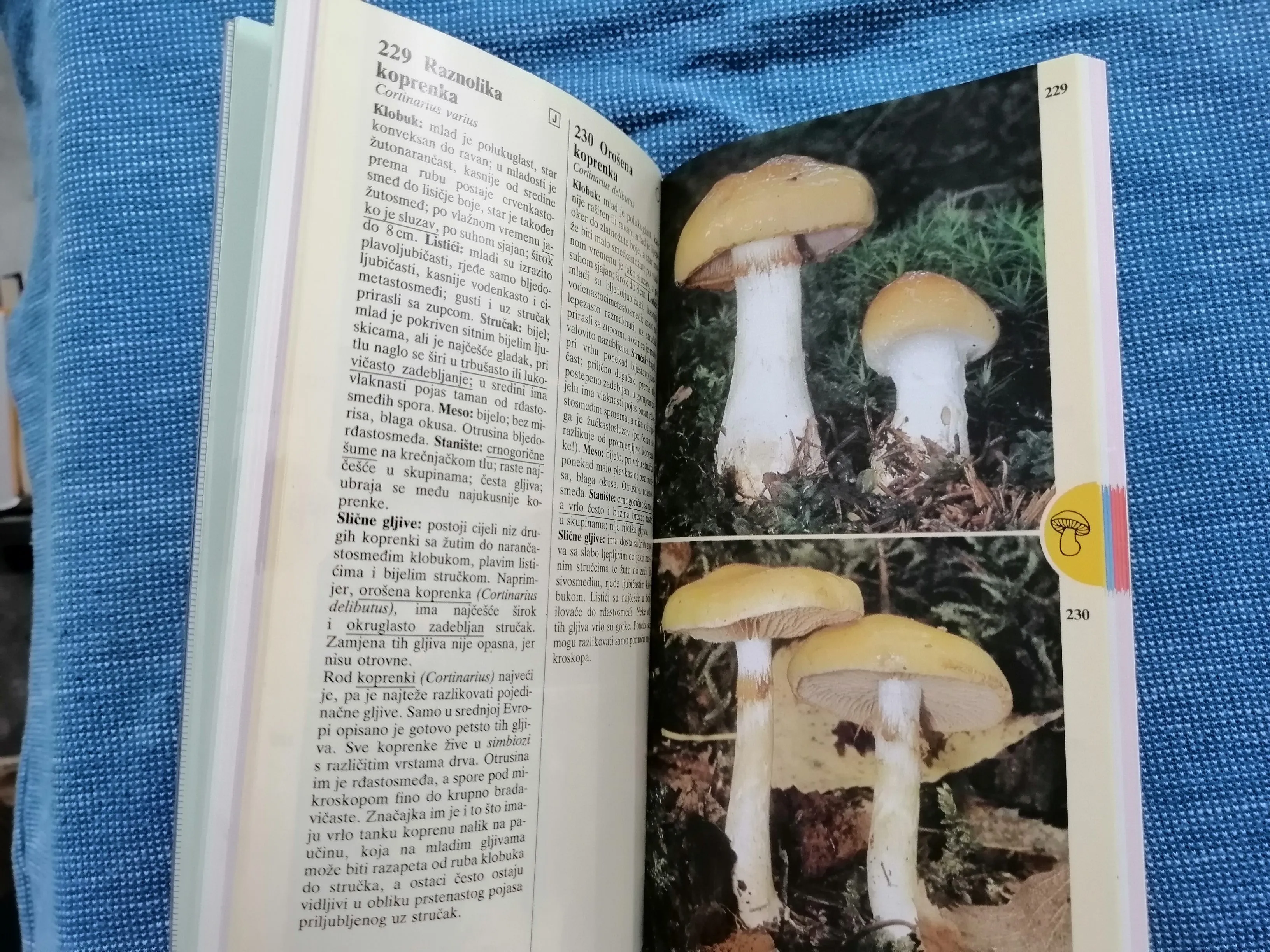 edmund garnweidner - gljive : džepni gljivarski vodič - slika 5