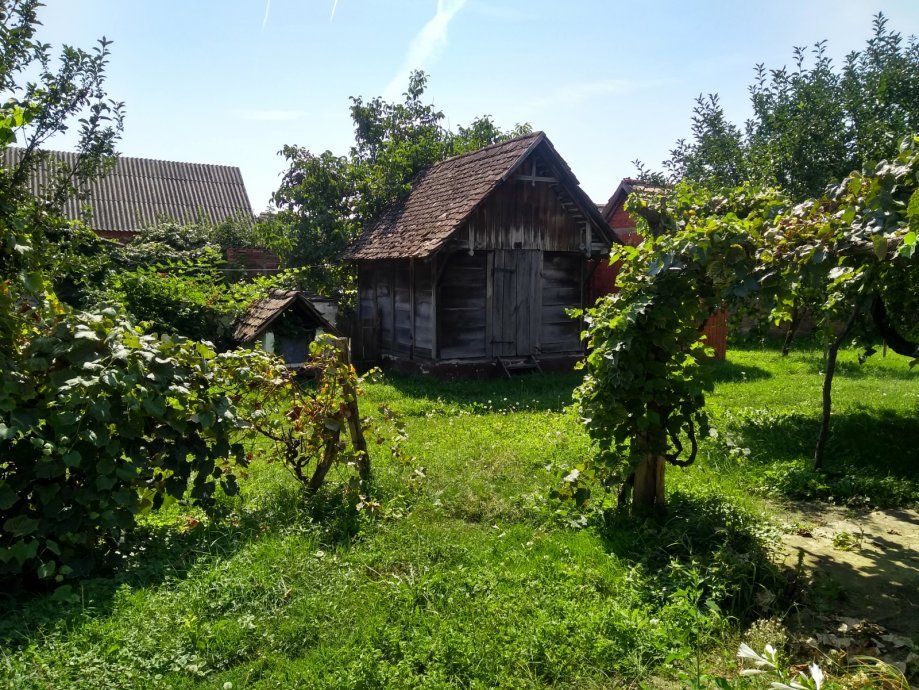 kuća: koška, prizemnica, 100 m2 - slika 15