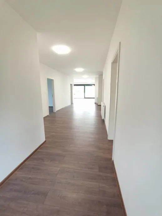kuća: sveta nedelja, 220.00 m2 (prodaja) - slika 5