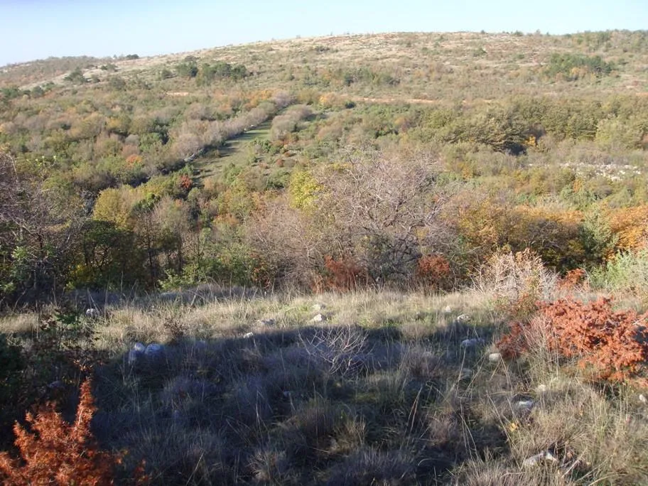 poljoprivredno zemljište, ripenda kosi, 50000 m2, 1600 m od mora - slika 4