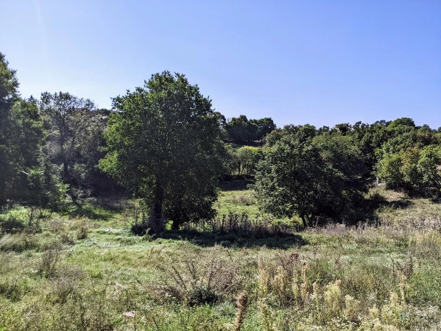 istra, svetvinčenat, kompleks građevinog i poljoprivrednog zemljišta - slika 8