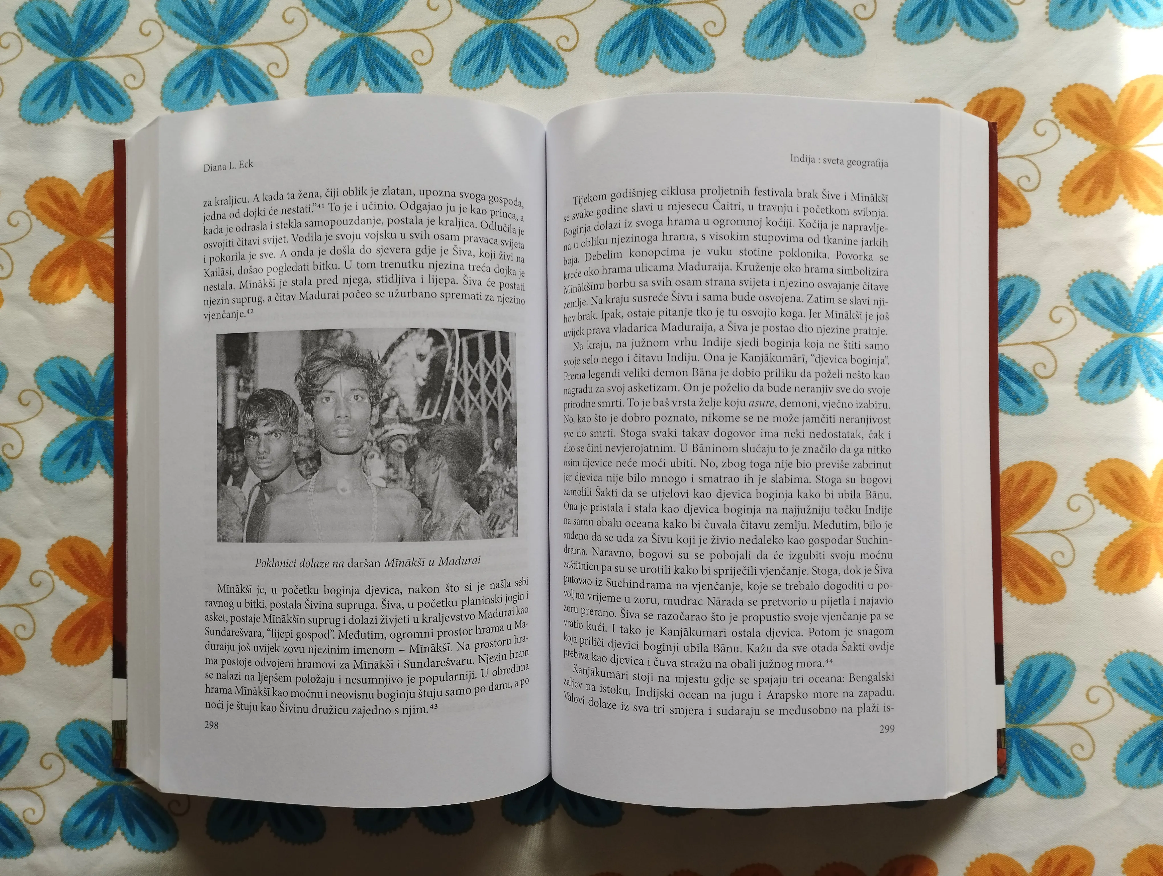 diana l. eck - indija sveta geografija - slika 5