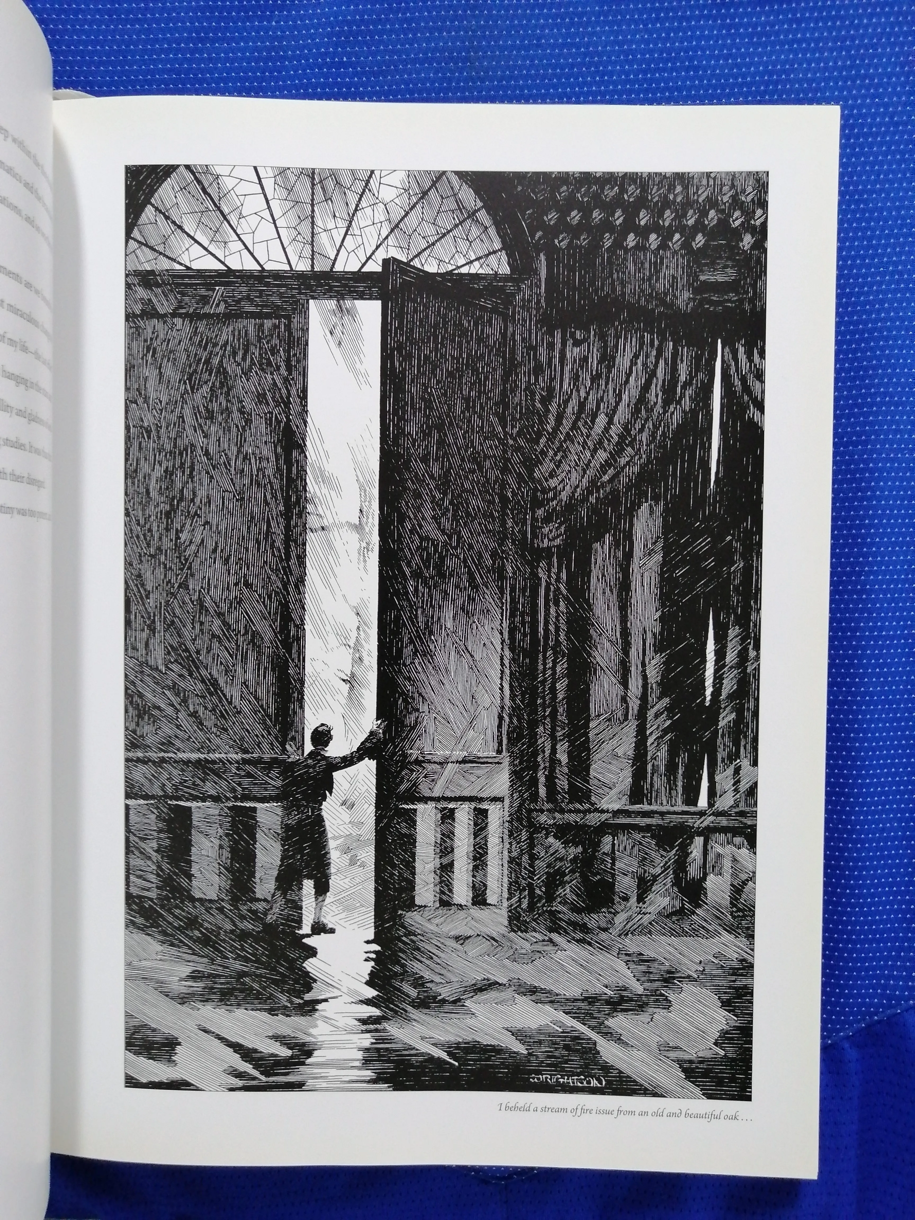 mary wollstonecraft shelley – frankenstein (y3) - slika 6