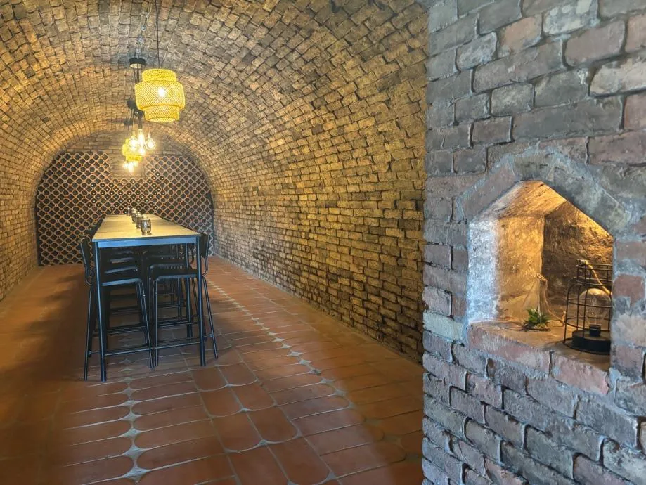 imanje za odmor i proslave: batina, 666.00 m2 - slika 17