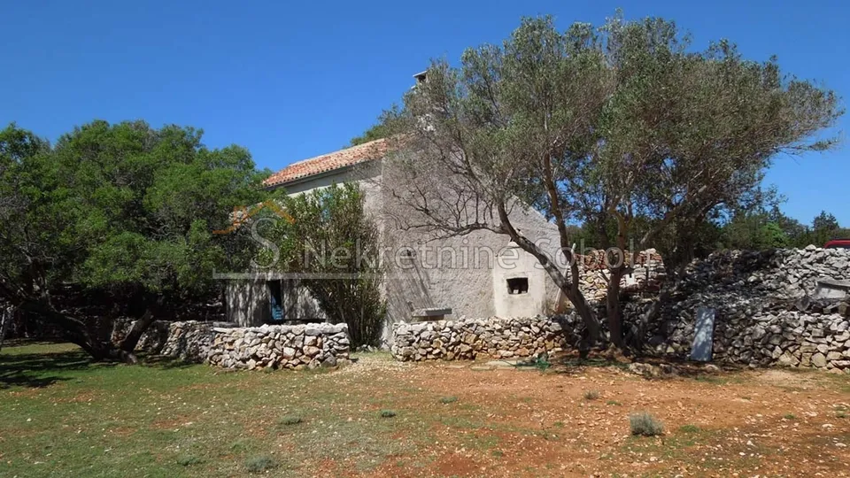 punta križa, otok cres - zemljište, 76133 m2 prodaja - slika 13