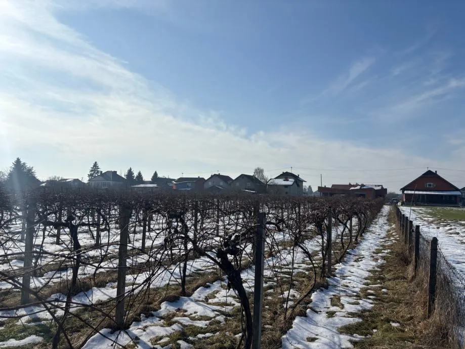 građevinsko zemljište, josipovac, 6000 m2 - slika 9