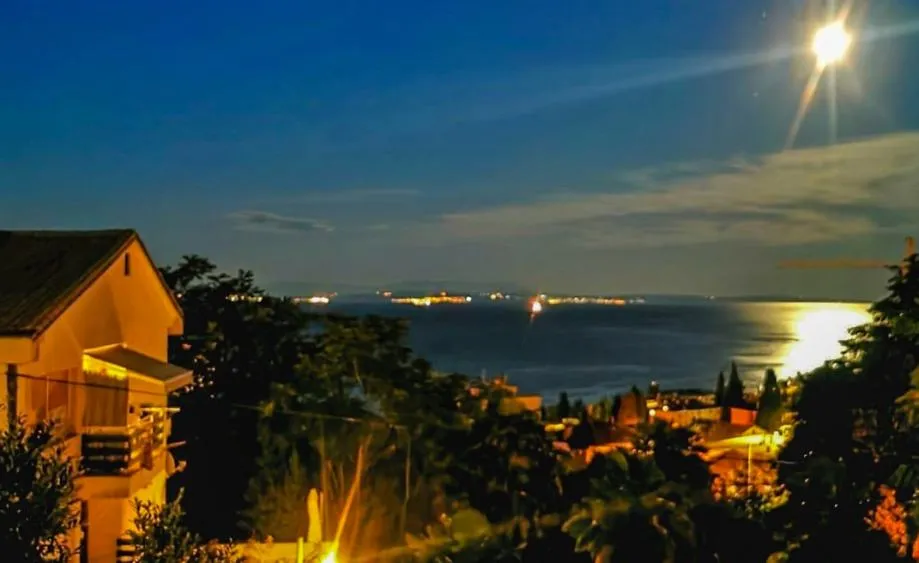 opatija – stan u opatiji, 118 m², 2750 eura/m2. bez provizije - slika 21