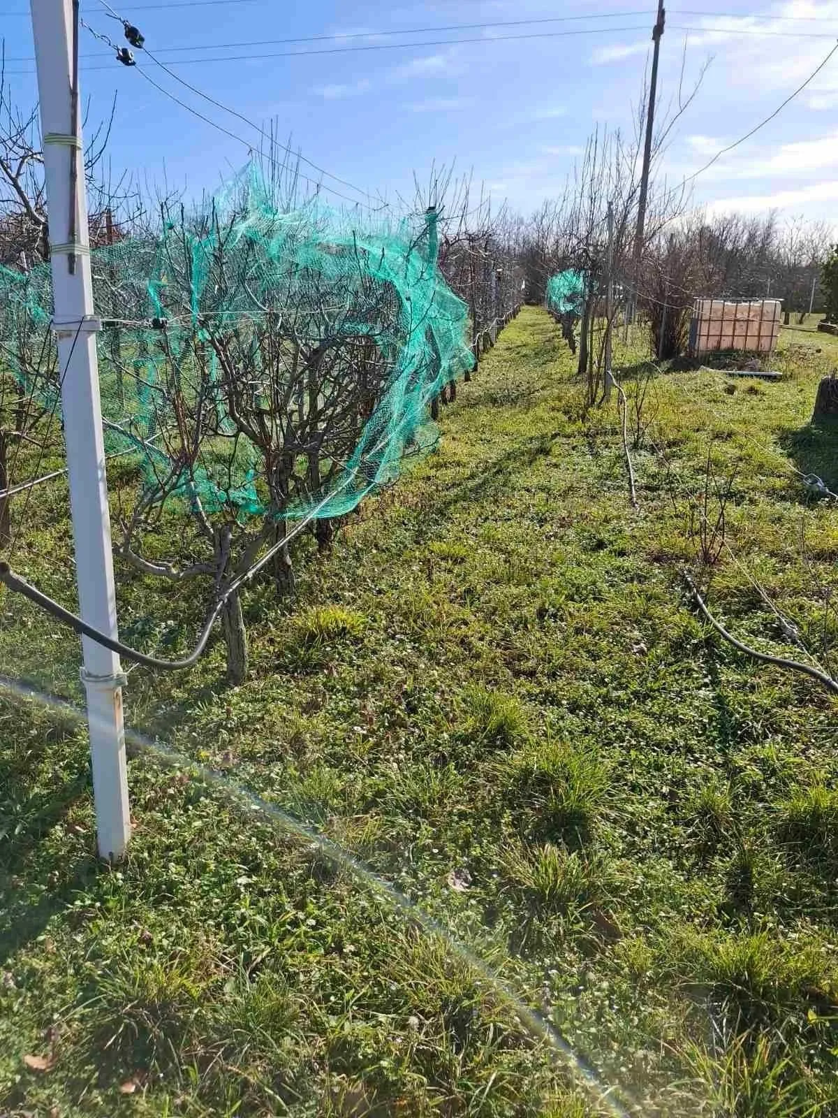 poreč-vikend kuća nedaleko poreča na prodaji (prodaja) - slika 5
