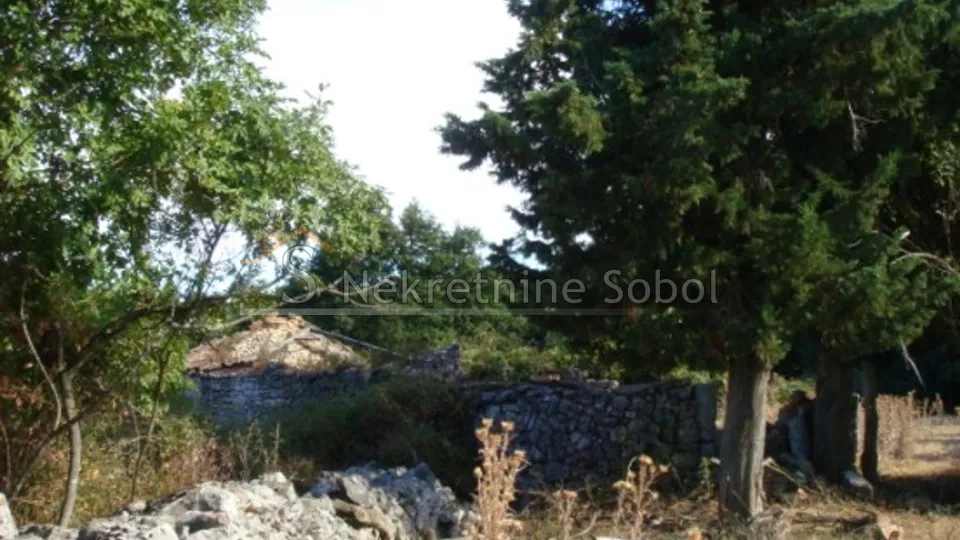 cres, beli - poljoprivredno, 93186 m2 prodaja - slika 9