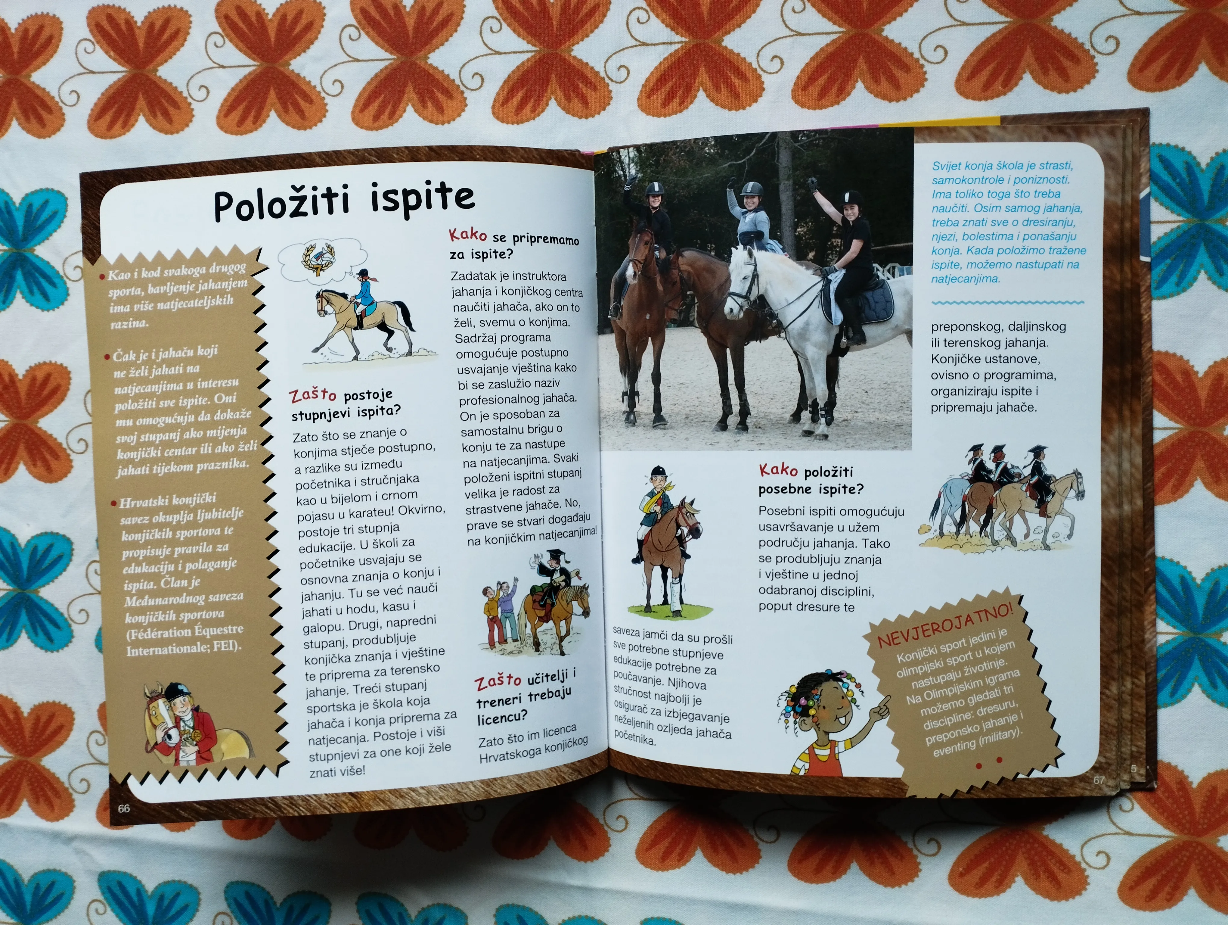 zašto kako - konji - slika 7