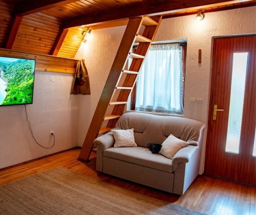 gorski kotar, vikendica okružena šumom - slika 19