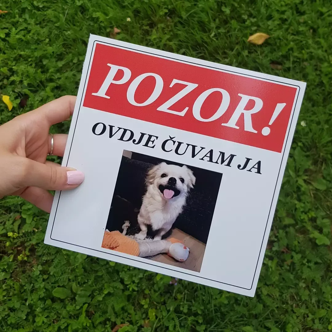 table oštar pas - slika 6