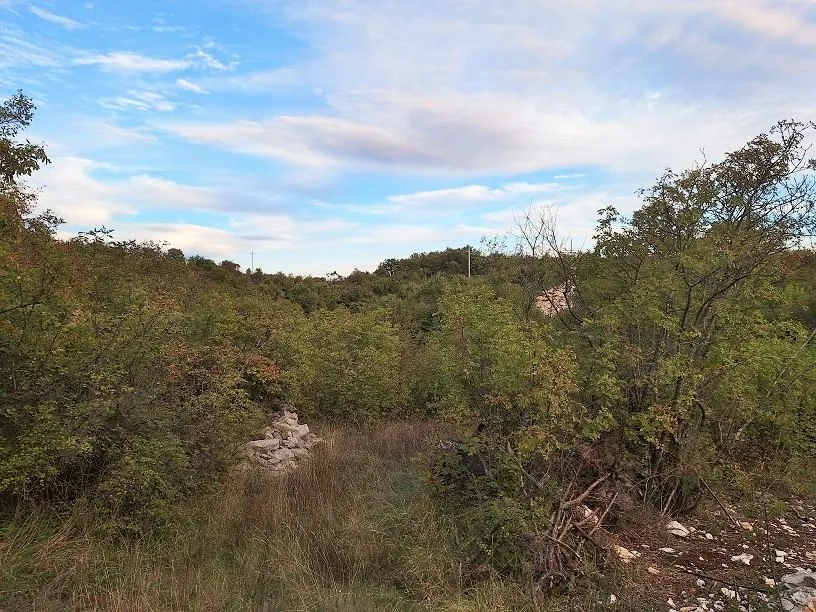 labin, ripenda kras- 4 km od rapca, 8480 m2 poljoprivredno zemljište - slika 4