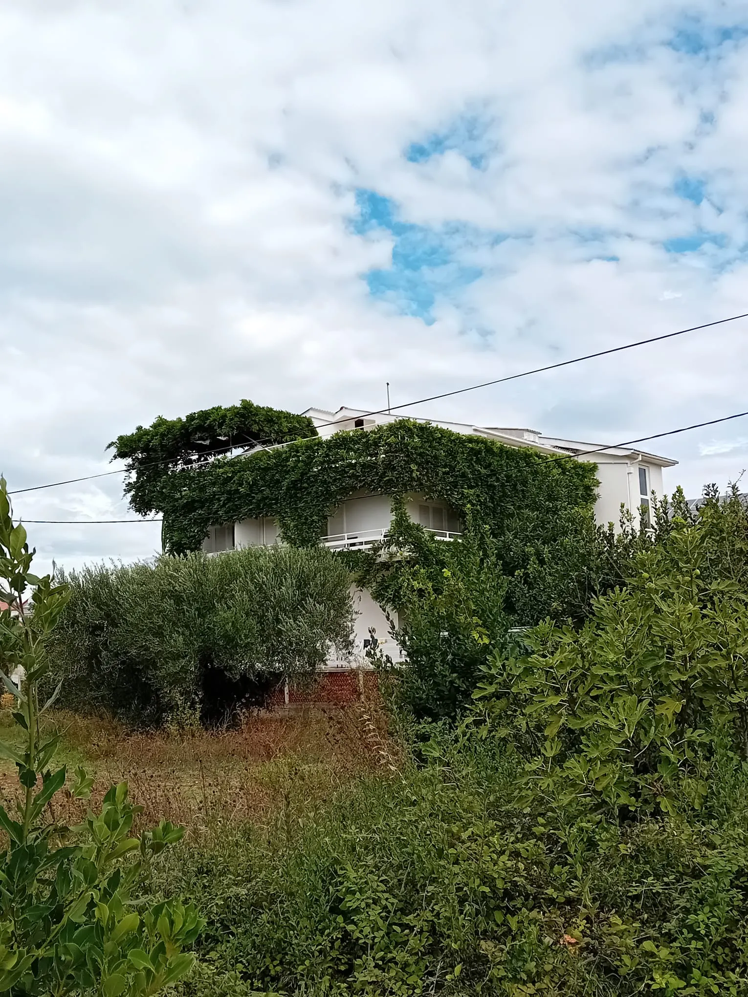 app 4+1, od 49 e, 100 m od betonske i šljunčane plaže, veliki balkon - slika 7