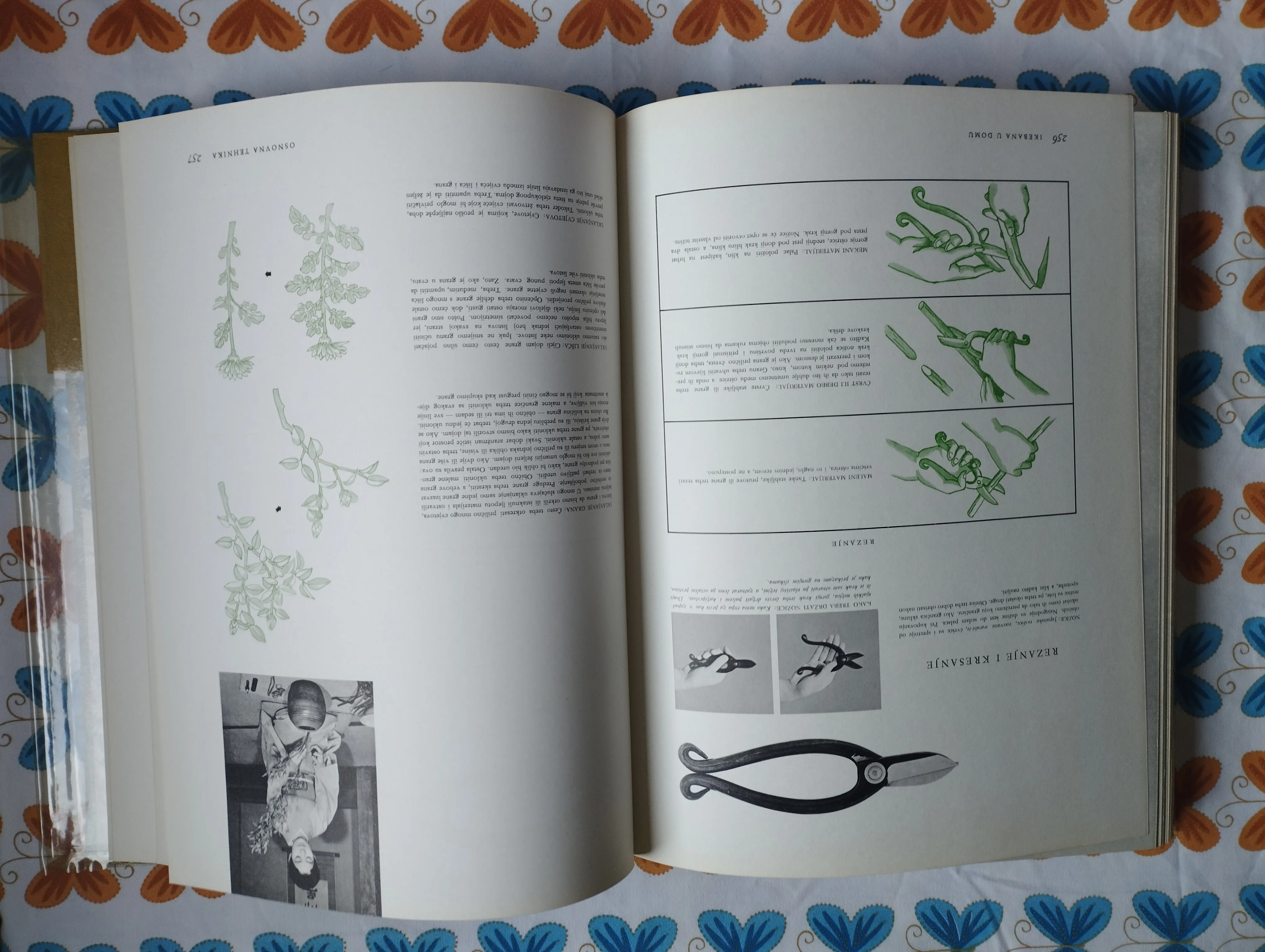 ikebana; povijest i principi japanskog uređivanja cvijeća - slika 11