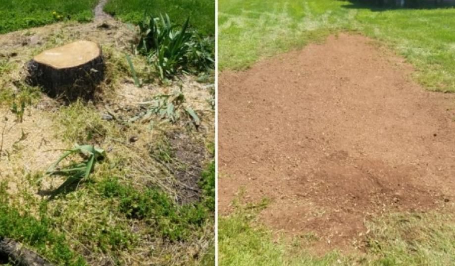 uklanjanje panjeva, usitnjavanja-drobljenja granja i drveća - slika 7