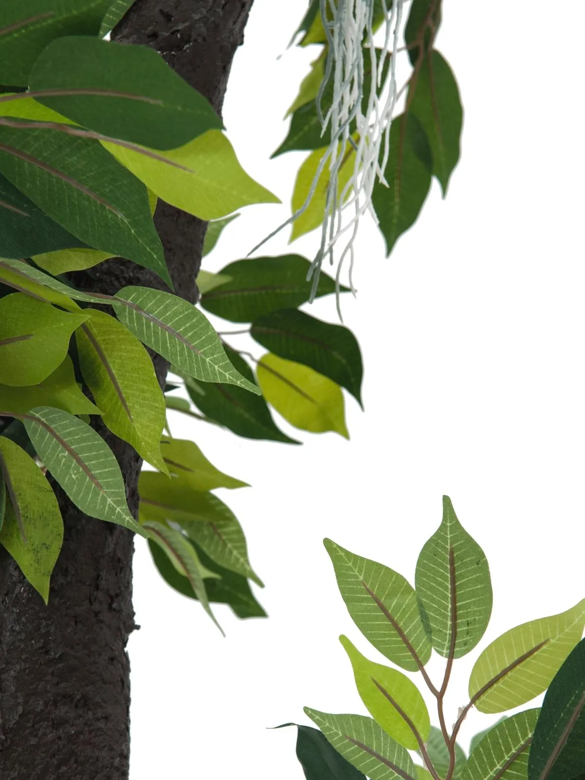 europalms ficus forest tree, 150cm - slika 2