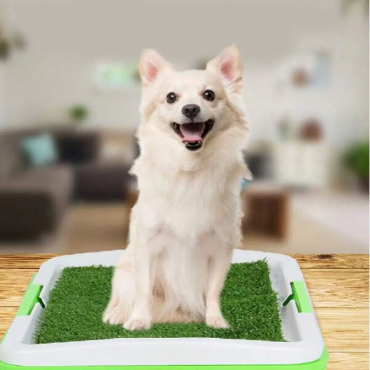 wc ili toalet za pse green trainer - slika 2