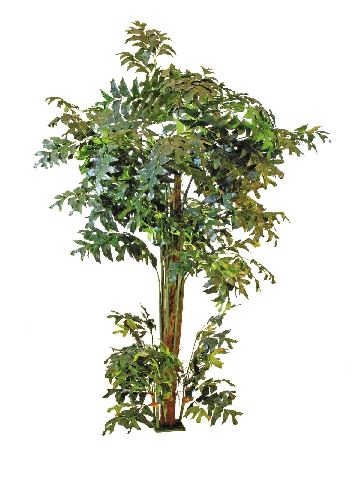 EUROPALMS Fishtail bush, 305cm - Križevci