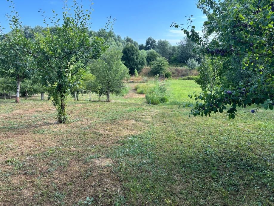 kuća: osijek, vinogradska, 75.00 m2 - slika 5
