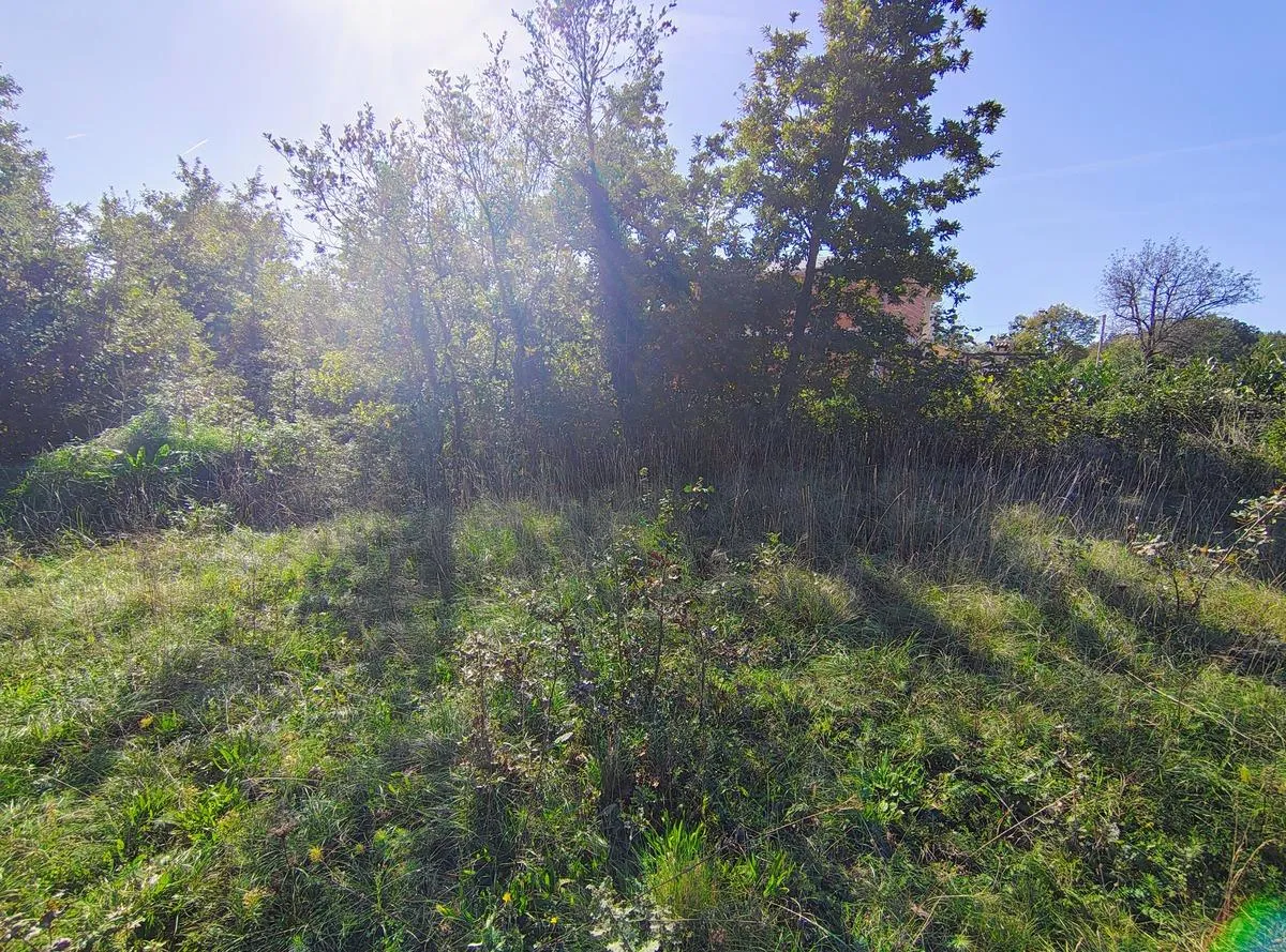 istra barban građevinsko zemljište 1,465 m2 - slika 4