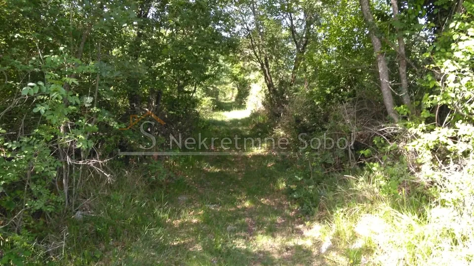 višnjan, zoričići - zemljište, 62710 m2 prodaja - slika 10
