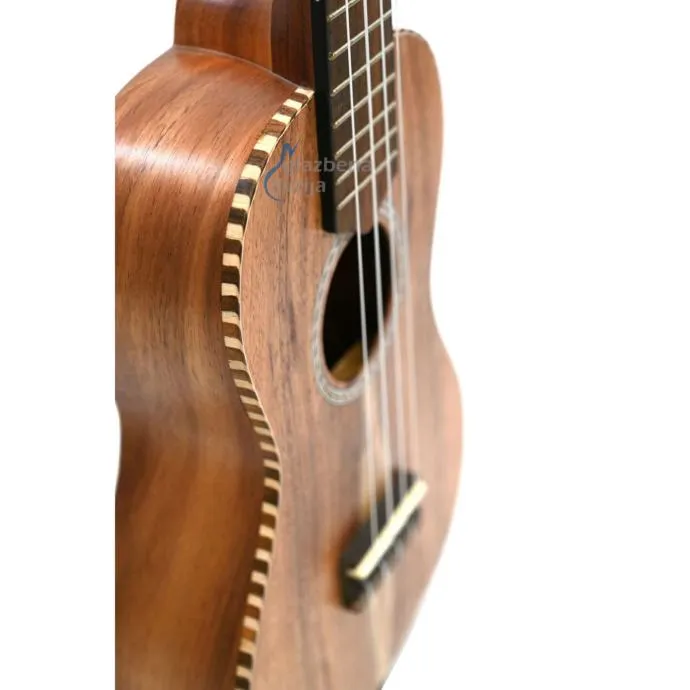 apc ct concerto ukulele - slika 6