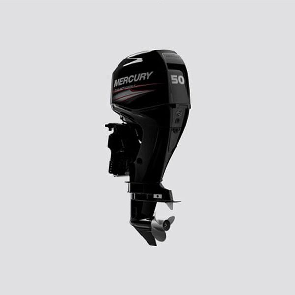 Mercury F50 Elpt Efi - Smlednik, Medvode