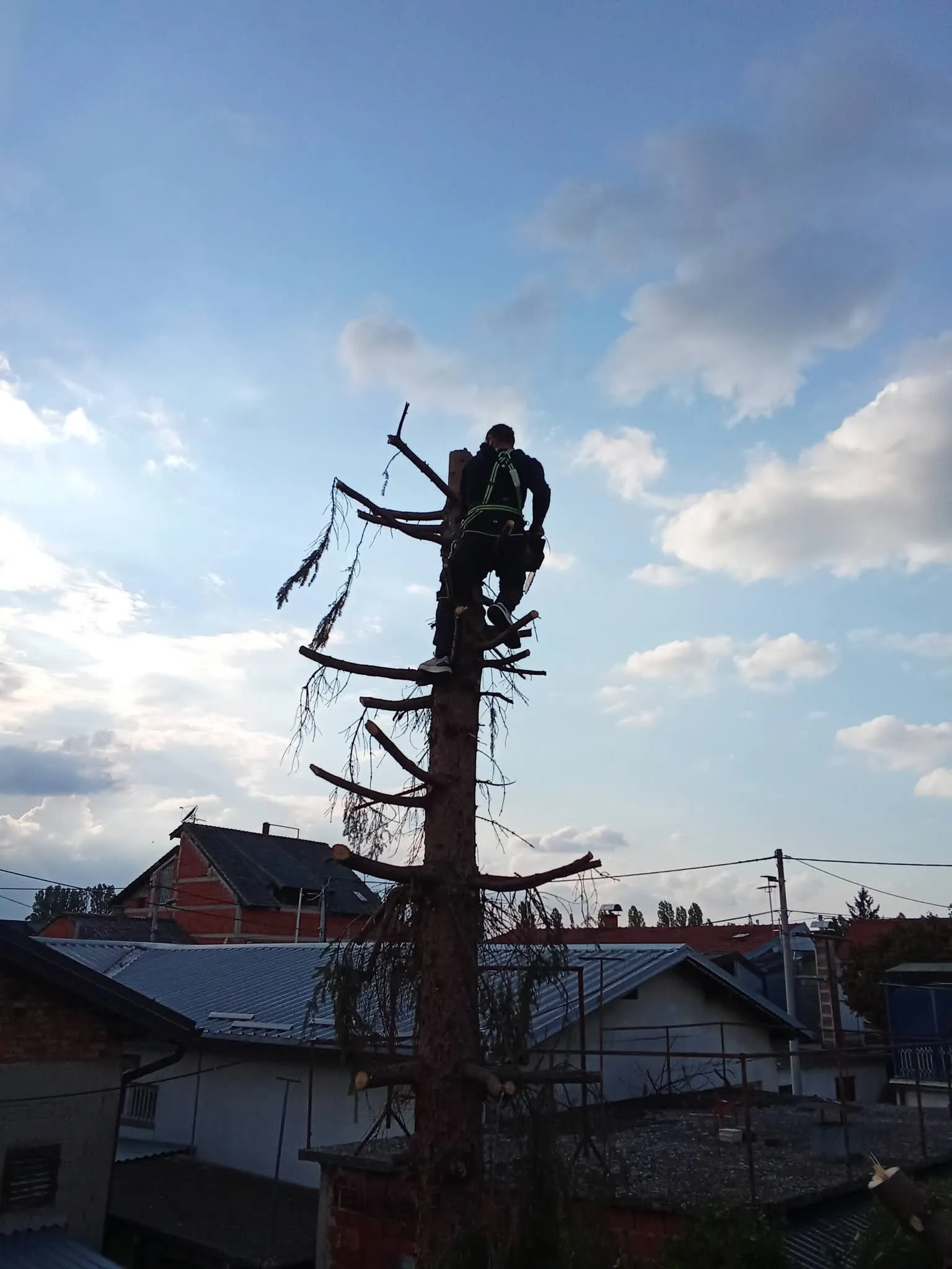 🌿 trebaš uredan i njegovan vrt bez muke? 🌿 - slika 8